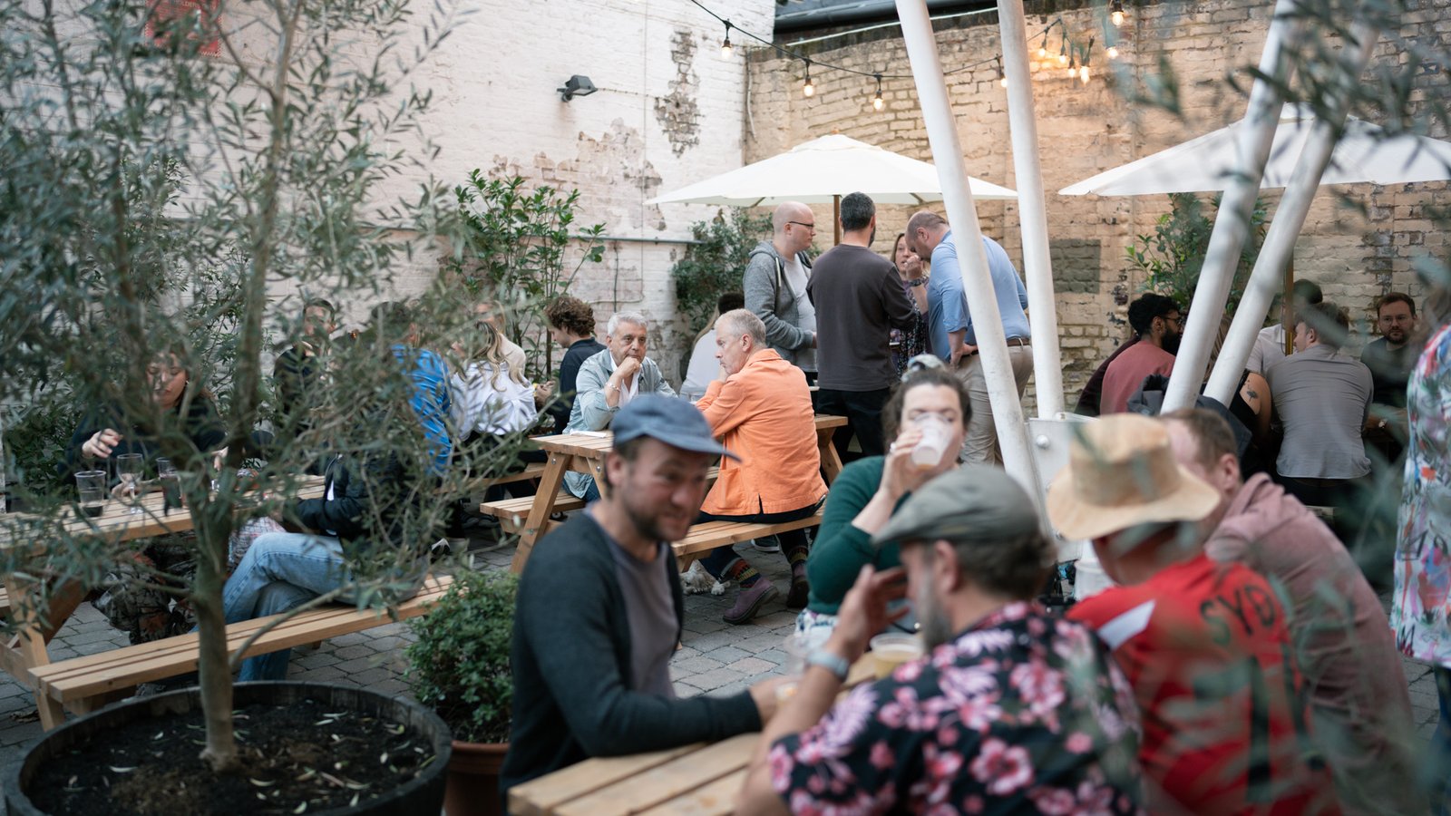 Traditional Live Irish Music (Saturday)