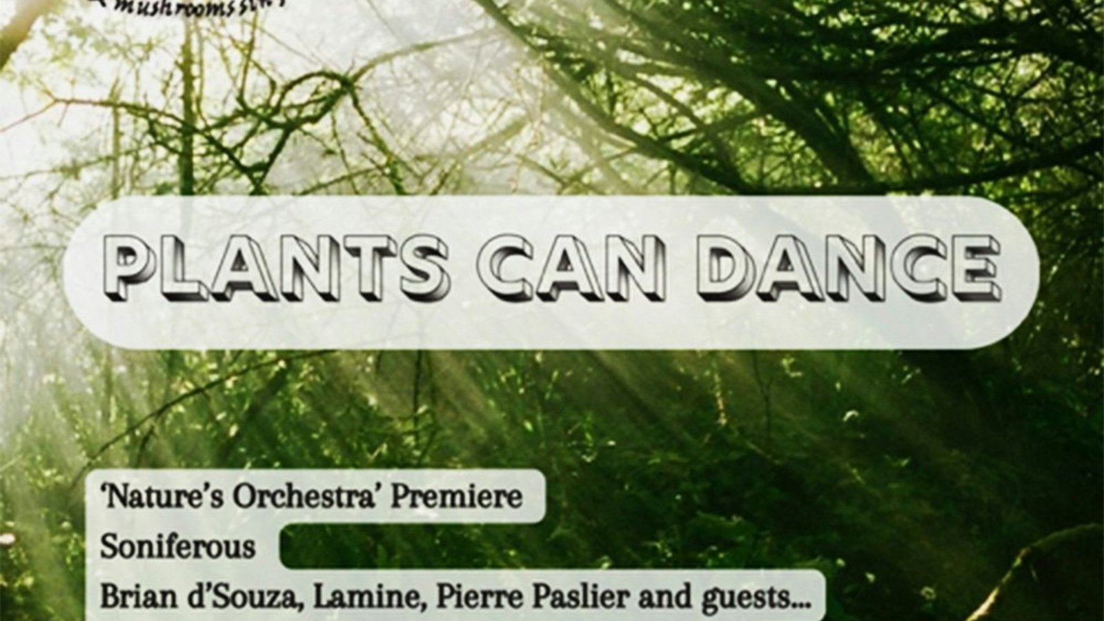 Plants Can Dance - Nature's Orchestra