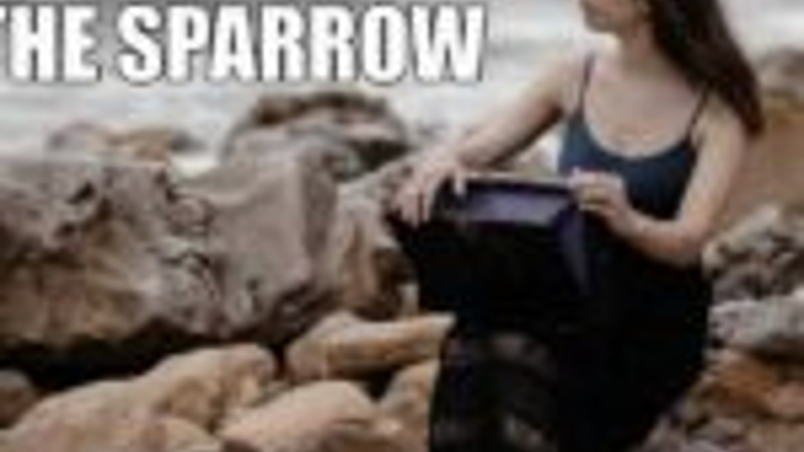 Catch The Sparrow
