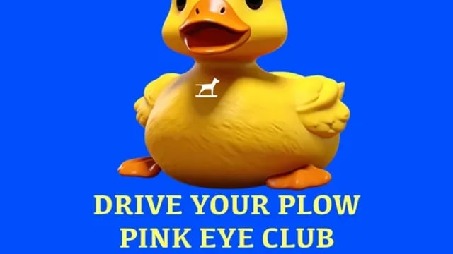 Drive Your Plow, Pink Eye Club, Mi.el, BABY XL