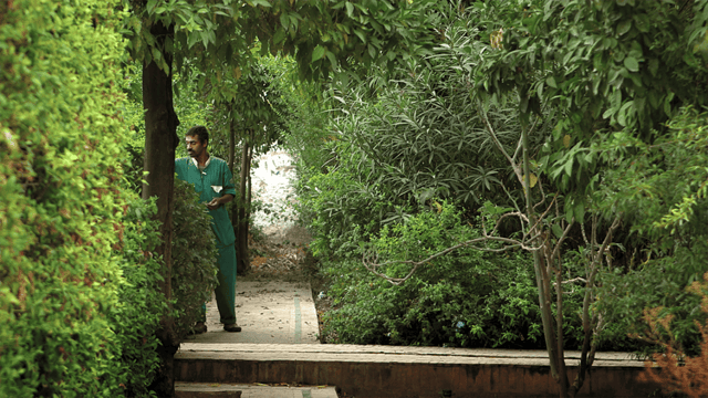 CinéDialoog: Gardens of Fez