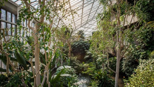 Mindful Drawing Workshop at the Barbican Conservatory