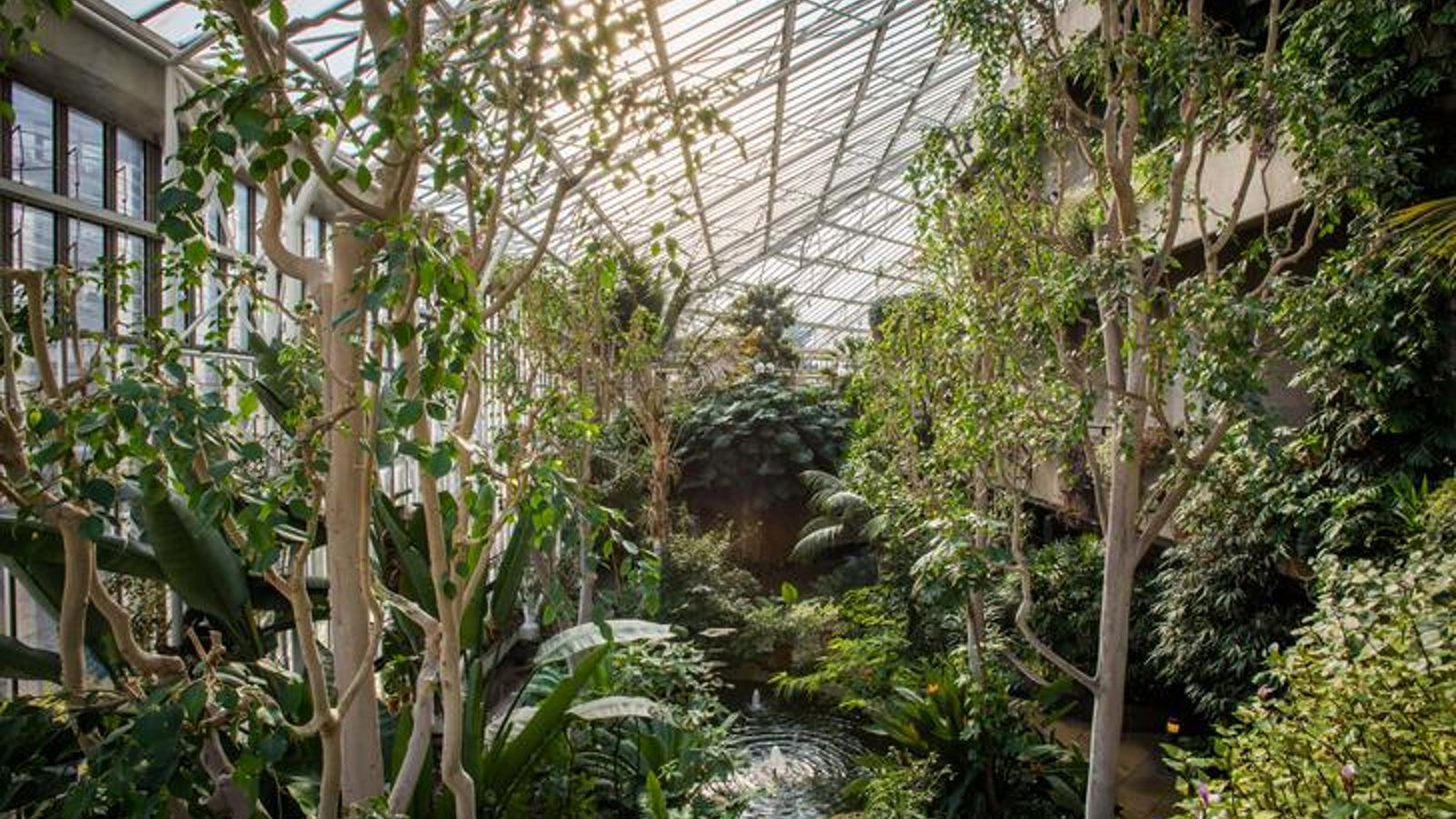 Mindful Drawing Workshop at the Barbican Conservatory