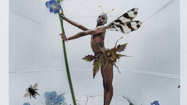 Tim Walker's Fairyland: Love and Legends