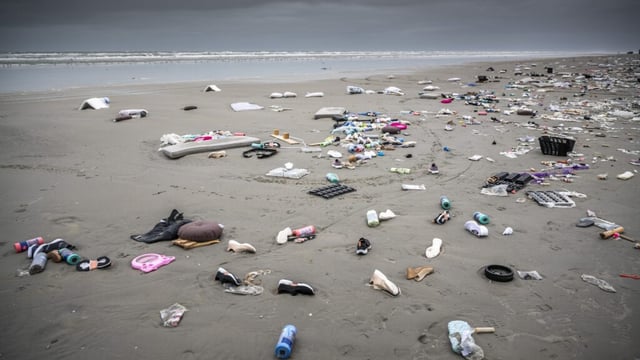 Afvoerputje Waddenzee: hoe zorgen we beter voor ons grootste werelderfgoed?
