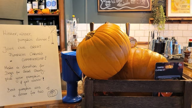 Pumpkin Carving Championship