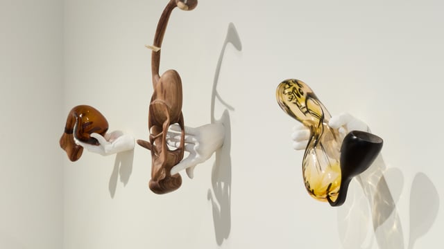 Ahmed Umar: Glowing Phalanges