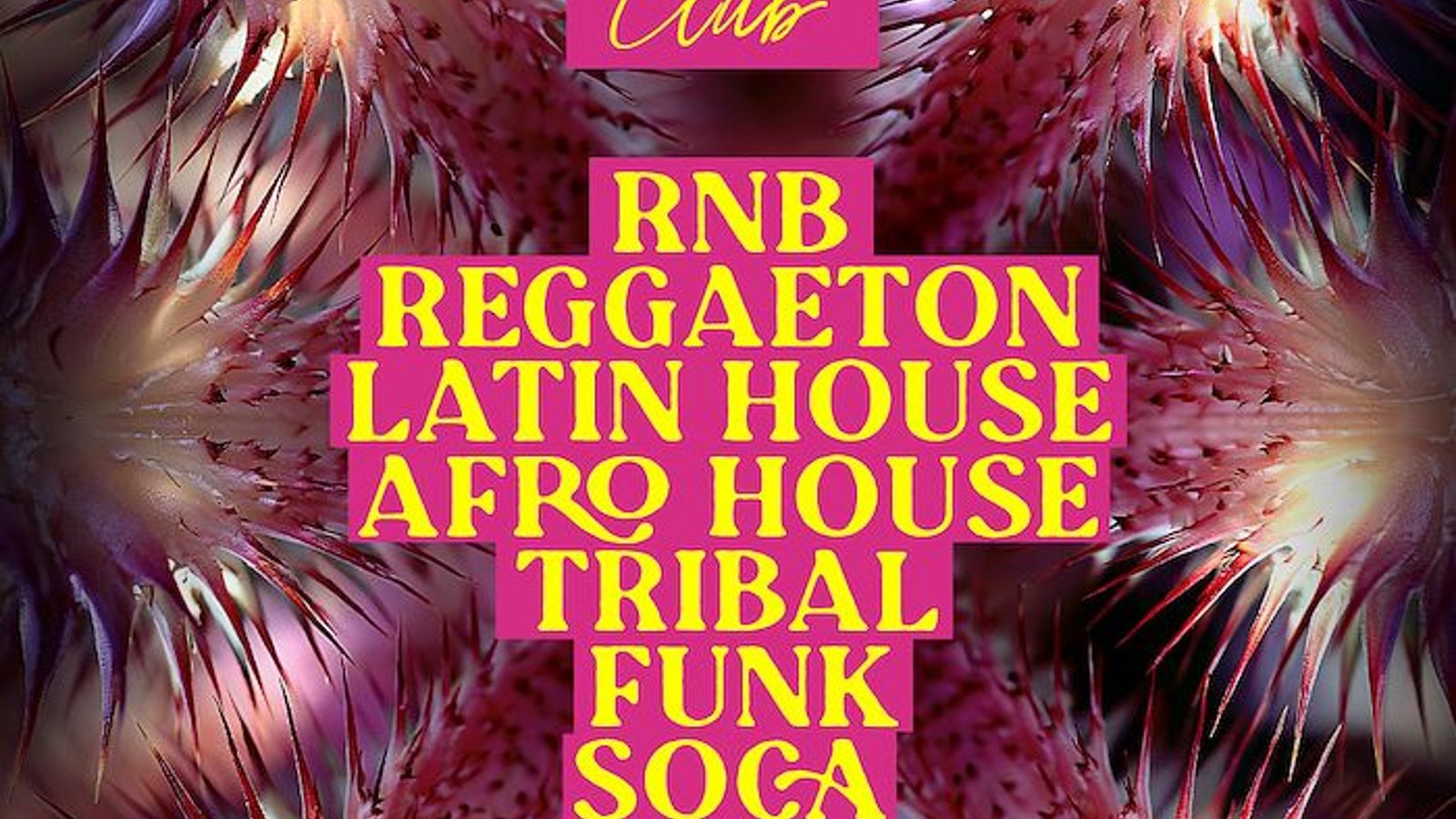 Maloka Club: House, Latin, Afro House + More