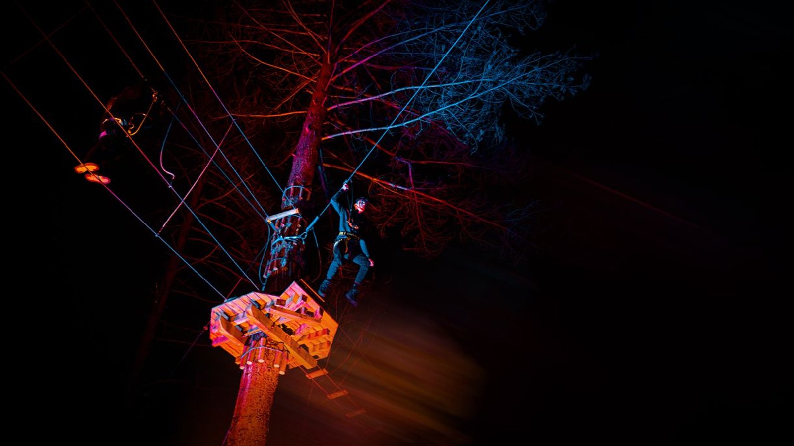 Sundown Adventures- Go Ape Alexandra Palace at Night