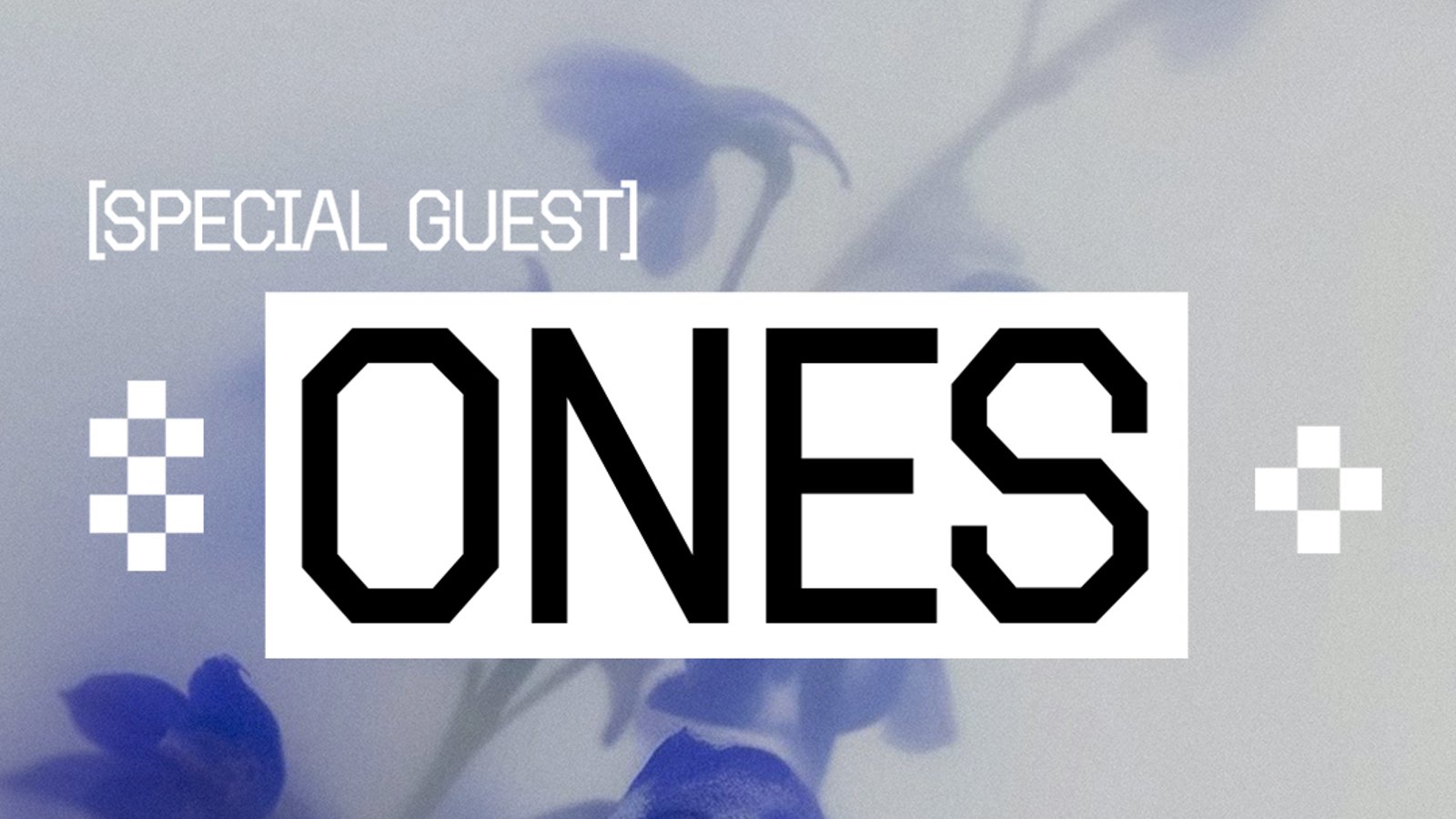 Ross From Friends & ones: 4 Fridays at Phonox (13th Nov)