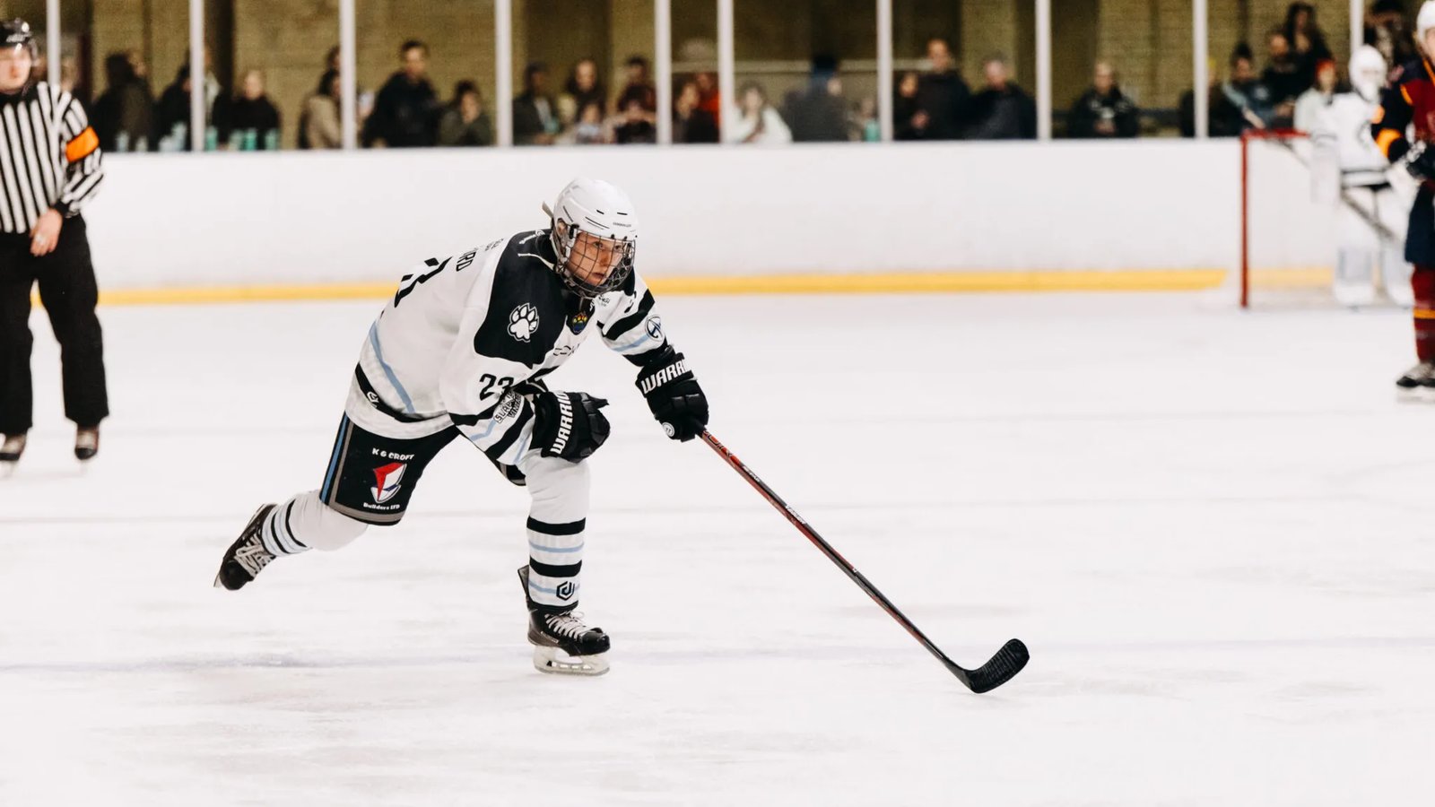Haringey Huskies v Guildford Phoenix