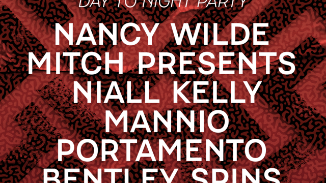 Polar Disco Day to Night Party