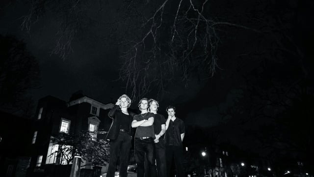 moonlight.