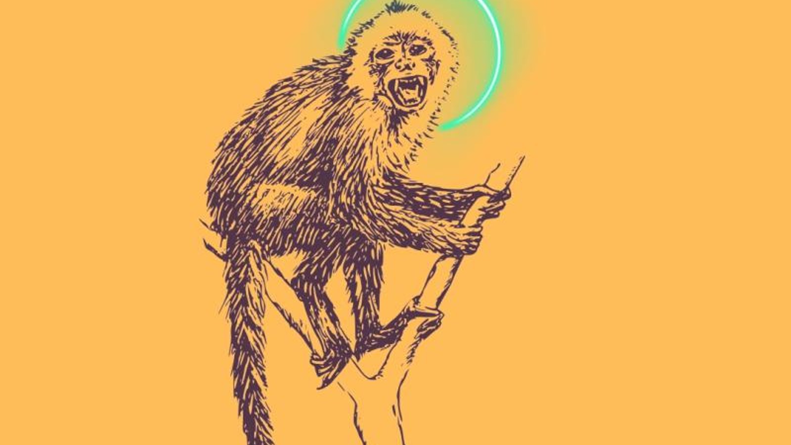 The Monkey