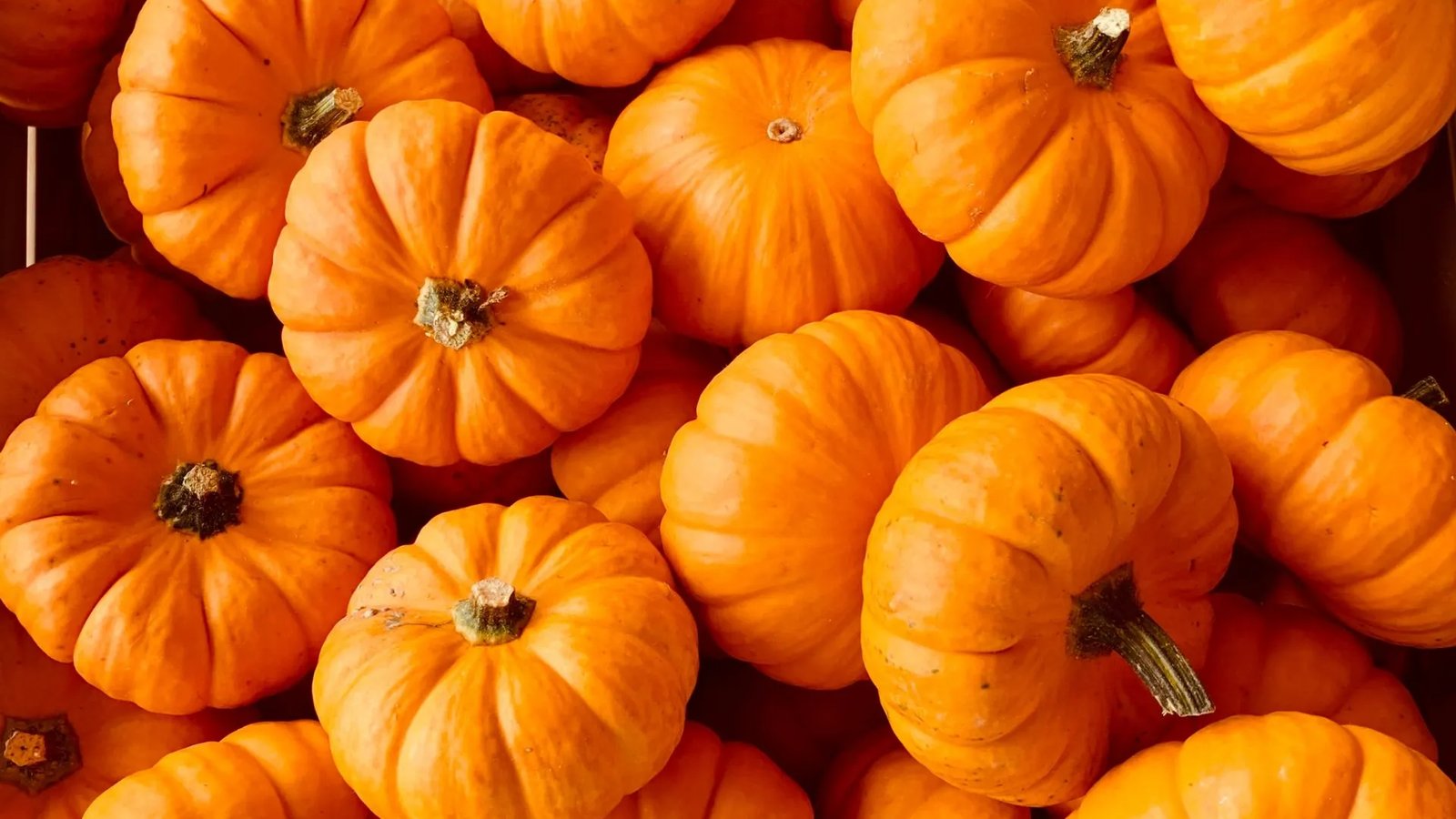 Free Halloween Pumpkin Carving at Barge East