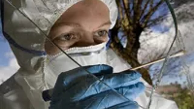 Bulletproof evidence?