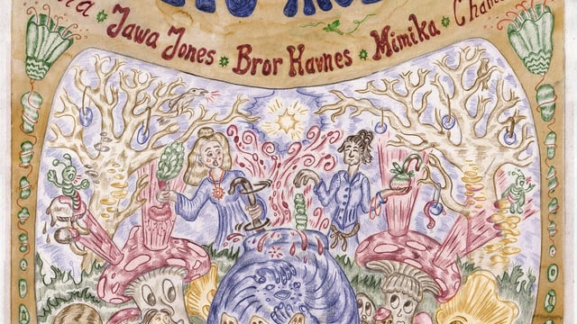 Shedding Histories: Jawa Jones, Bror Havnas, Mimika