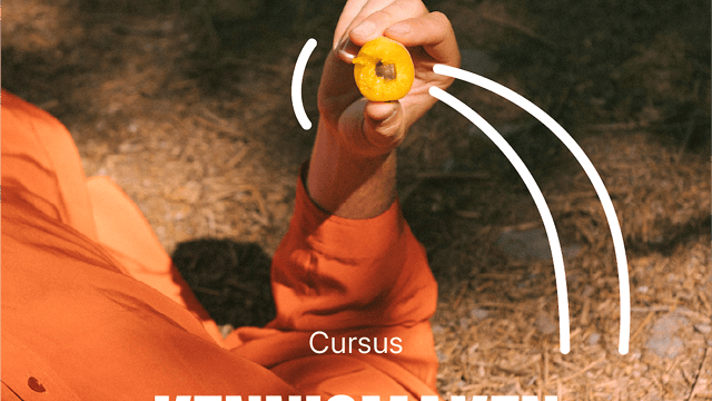 Cursus