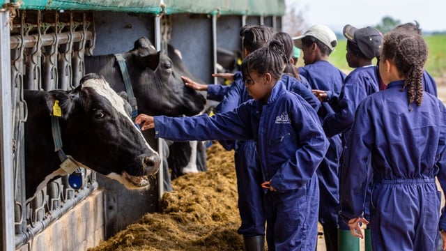 Duchess's fundraiser for FARMS FOR CITY CHILDREN