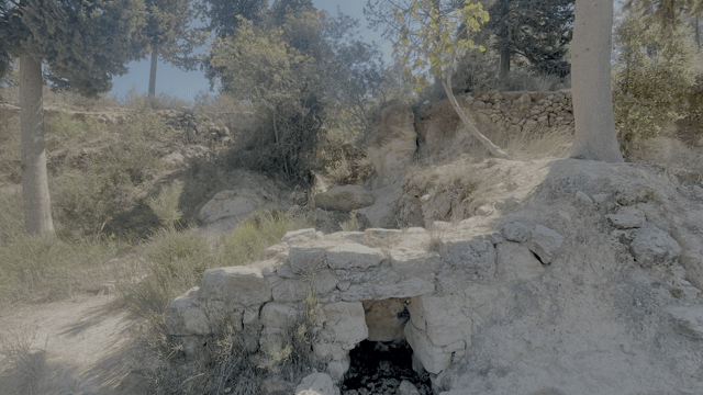 All That Remains (The Right of Return)