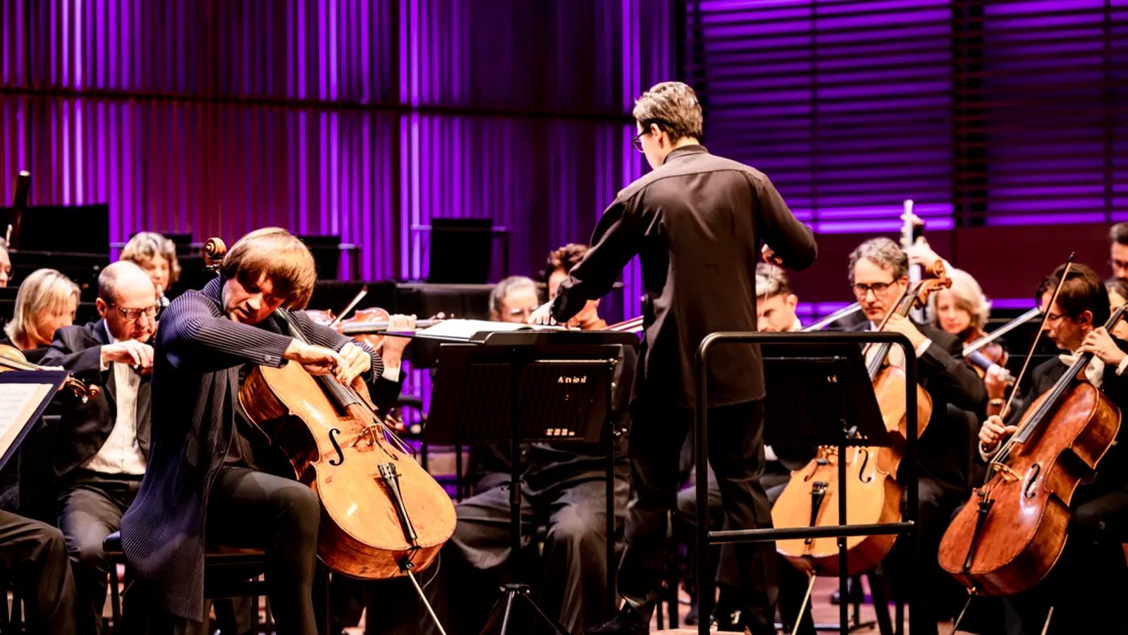 Chant du Ménestrel - Ivan Karizna, Steven Isserlis, Irene Duval + Nederlands Kamerorkest