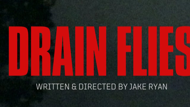 Drain Flies - London Screening
