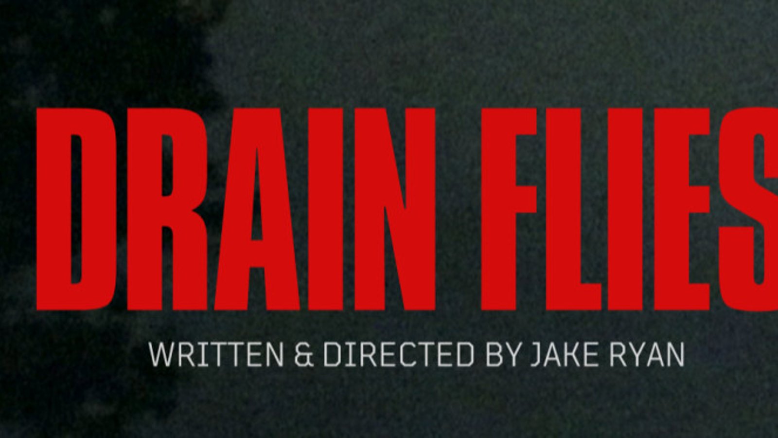 Drain Flies - London Screening