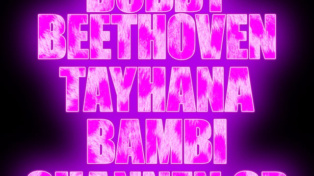 Shannen SP presents: Bobby Beethoven / TAYHANA / Bambi / Shannen SP