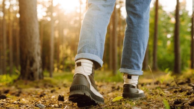Citizen Science