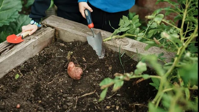 Family Friendly Growing Session