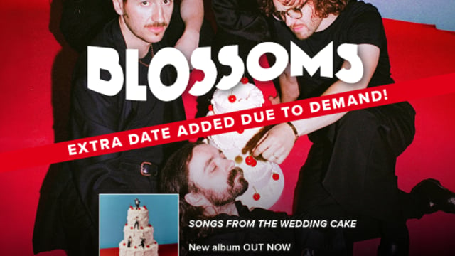 Blossoms (14+)