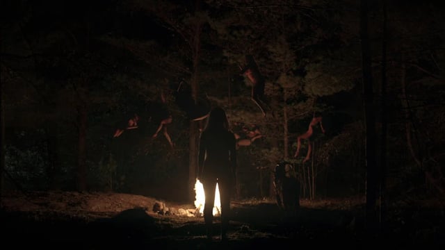 The Witch (2016)