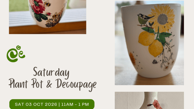 Saturday | Plant Pot & Decoupage