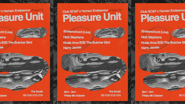 Pleasure Unit: Brokenchord (Live) + Rosie Ama + The Butcher Bird + Nick Stephens + Harry James