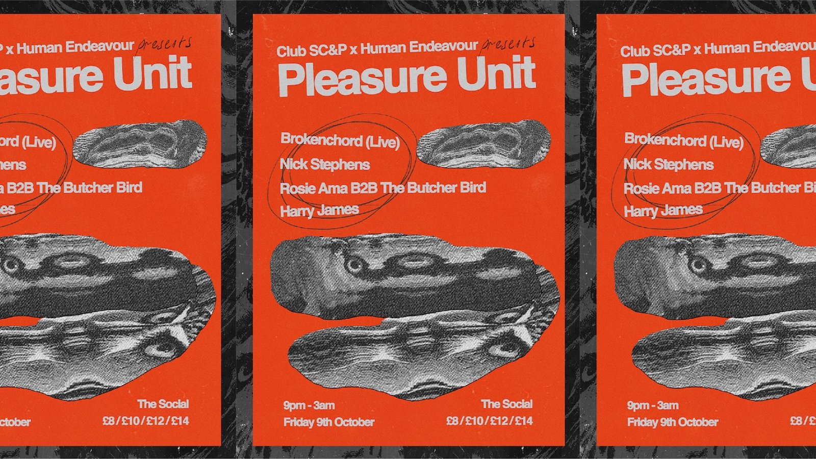 Pleasure Unit: Brokenchord (Live) + Rosie Ama + The Butcher Bird + Nick Stephens + Harry James