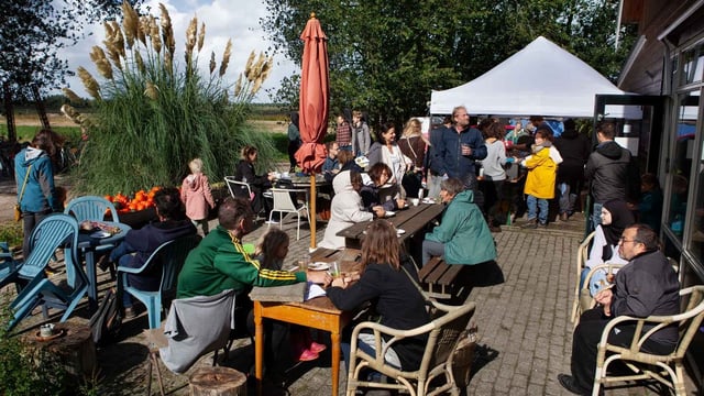 Vrijdag vragenmiddag & oogsten