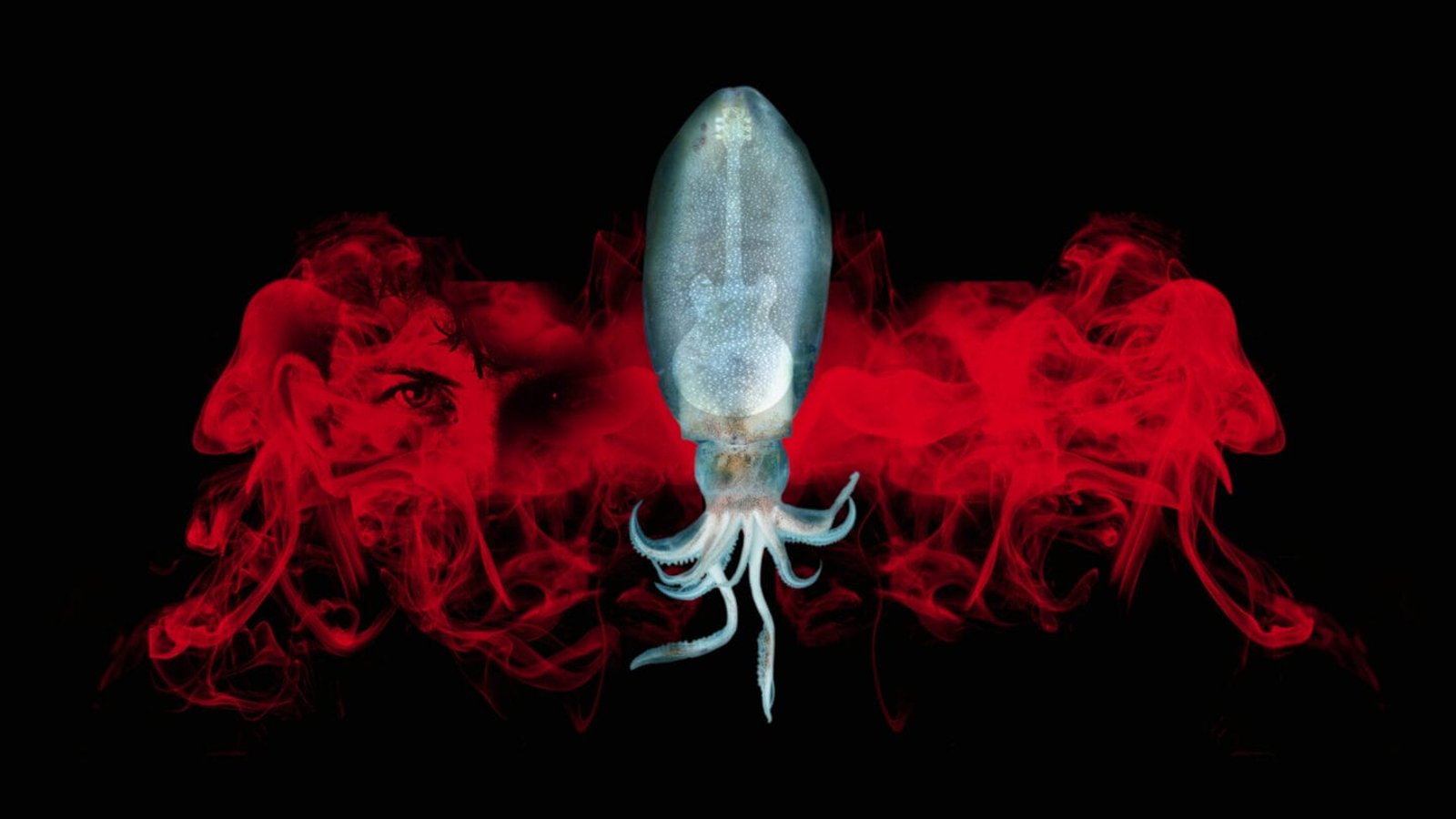 SQUID: A Victim Impact Statement