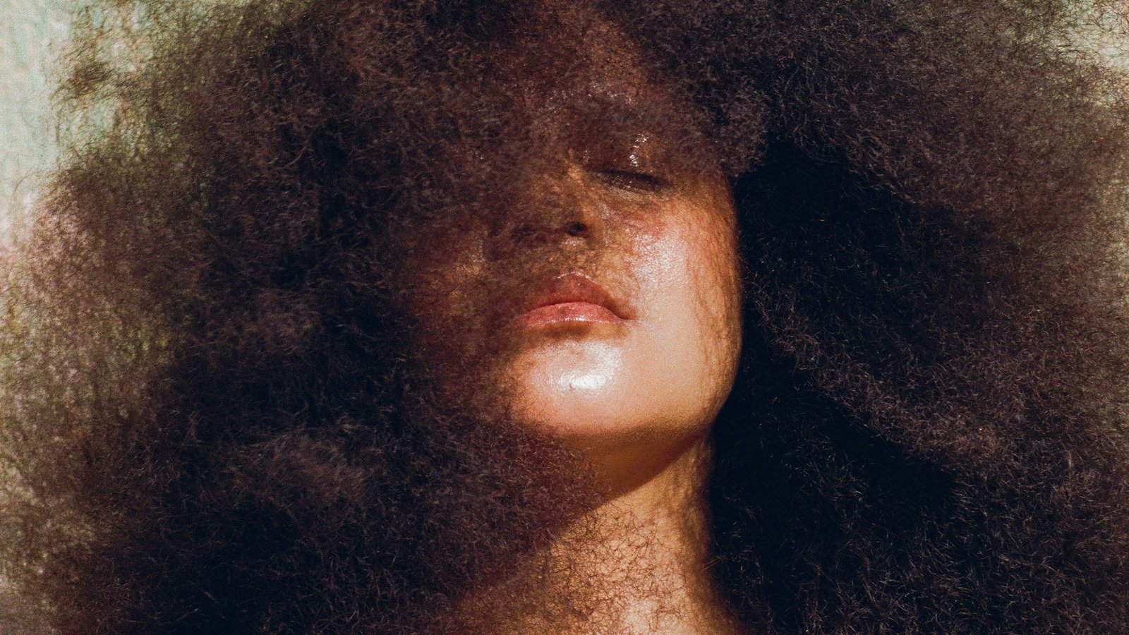 Lido Pimienta + AMORE + Ms Ray