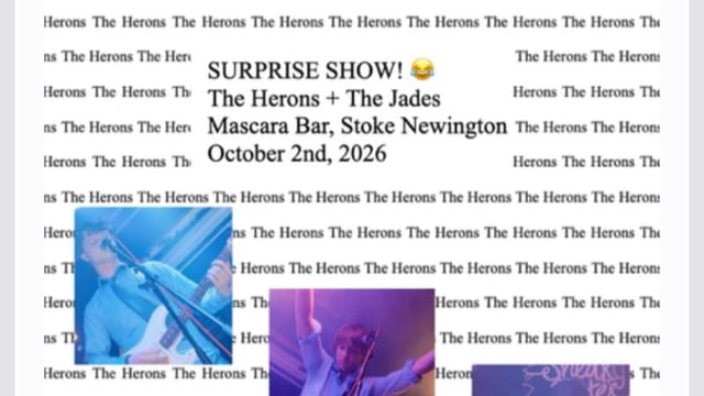 Live Bands