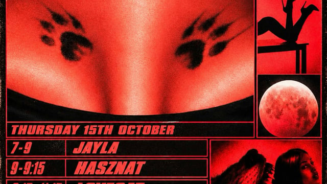 SHEWOLF: LOVECAT, HASZNAT, LCN, JAYLA