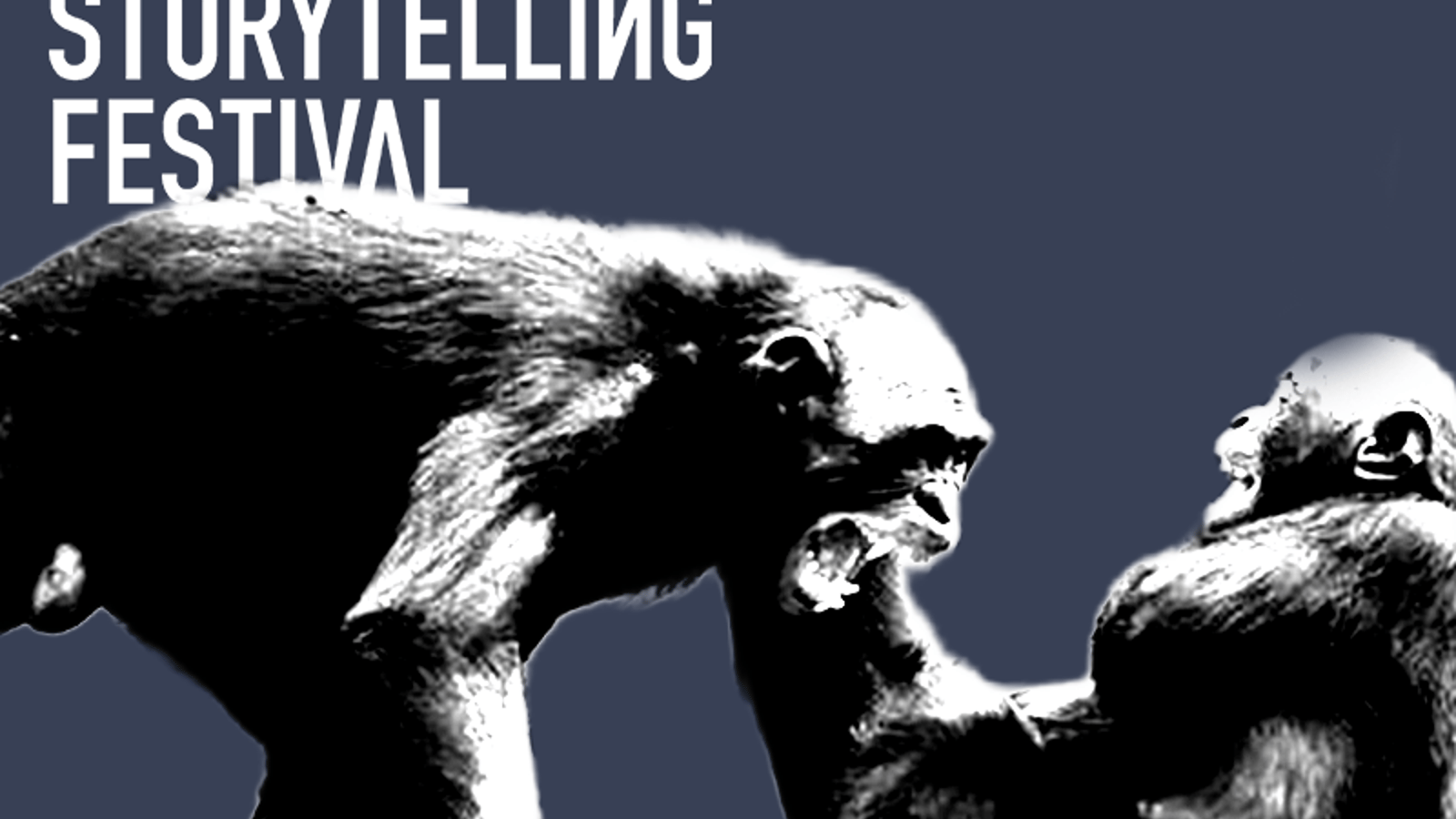 Talk: The evolution of violence
