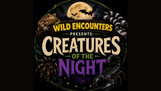 Wild Encounters presents Creatures of the Night!