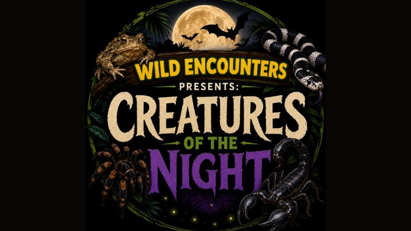 Wild Encounters presents Creatures of the Night!