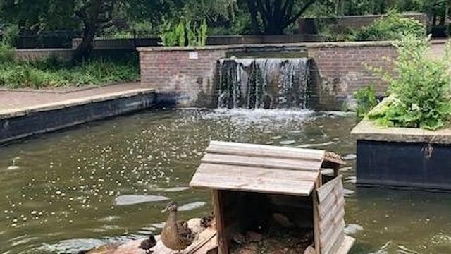 Islington Health and History walk: Elthorne Park N19