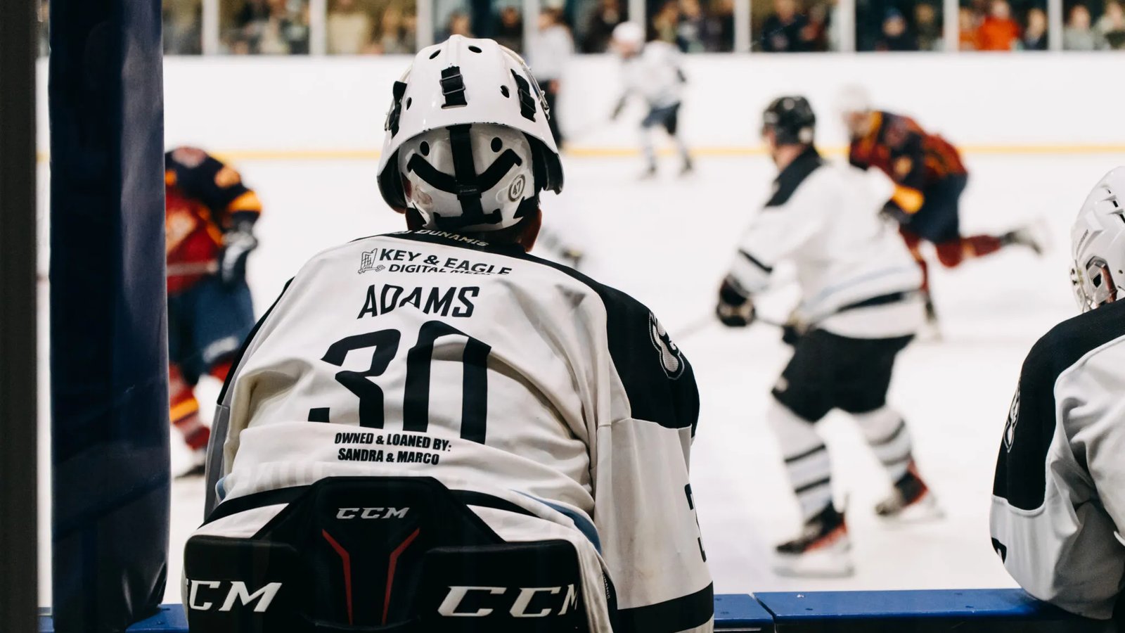 Haringey Huskies v Basingstoke Bison