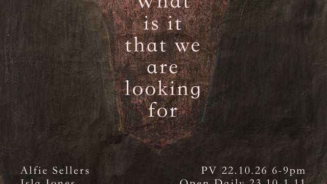 What Is It That We Are Looking For