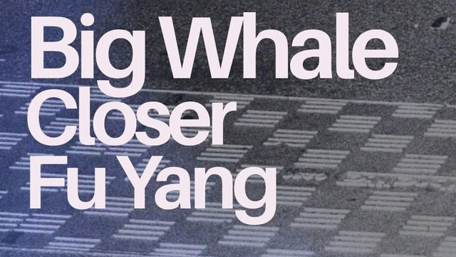 Big Whale / Closer / Fu Yang