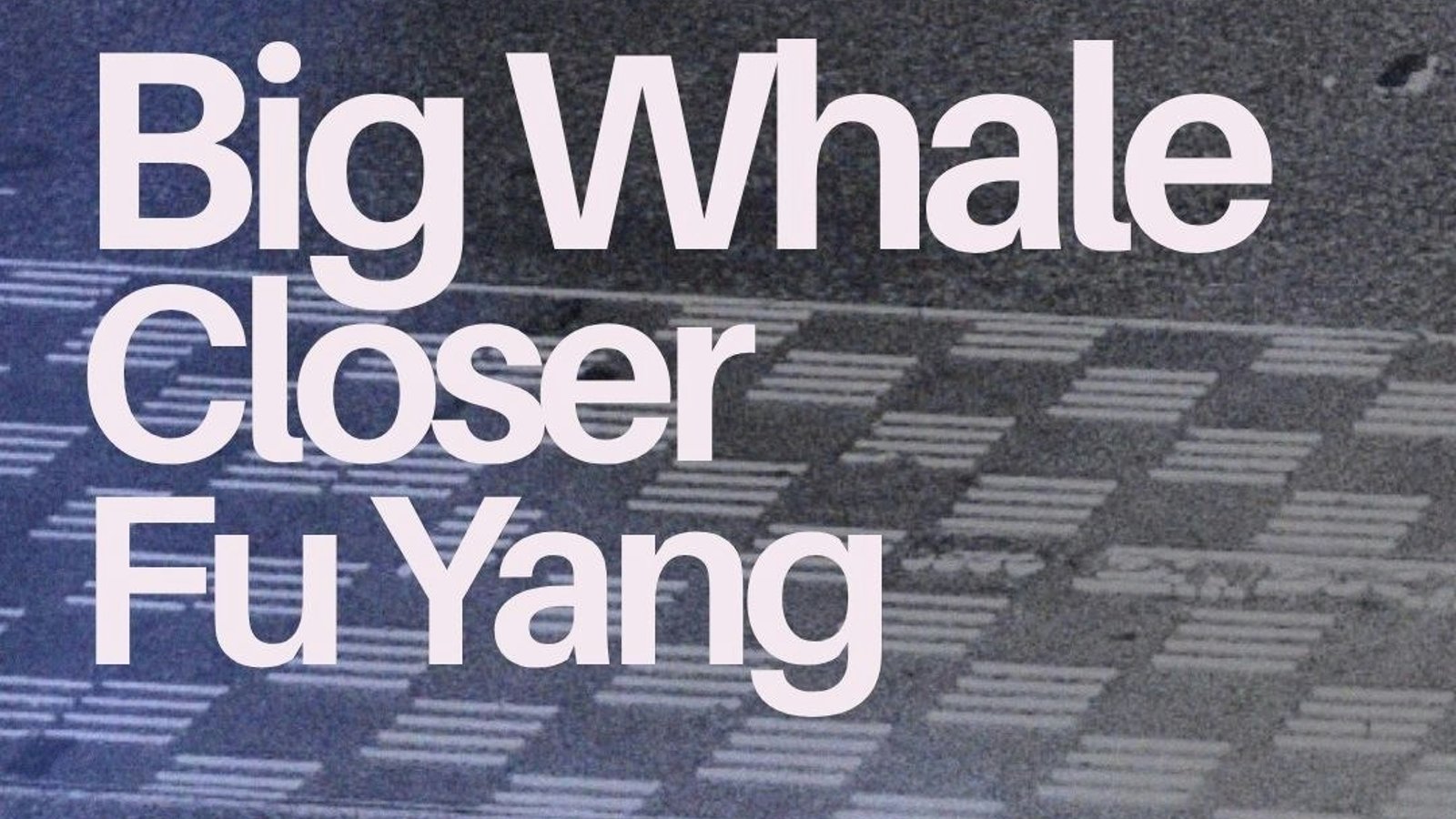 Big Whale / Closer / Fu Yang