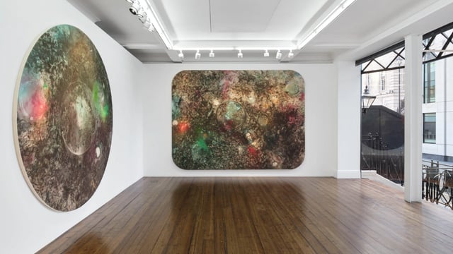 Lucy Dodd: The good, the true and the beautiful
