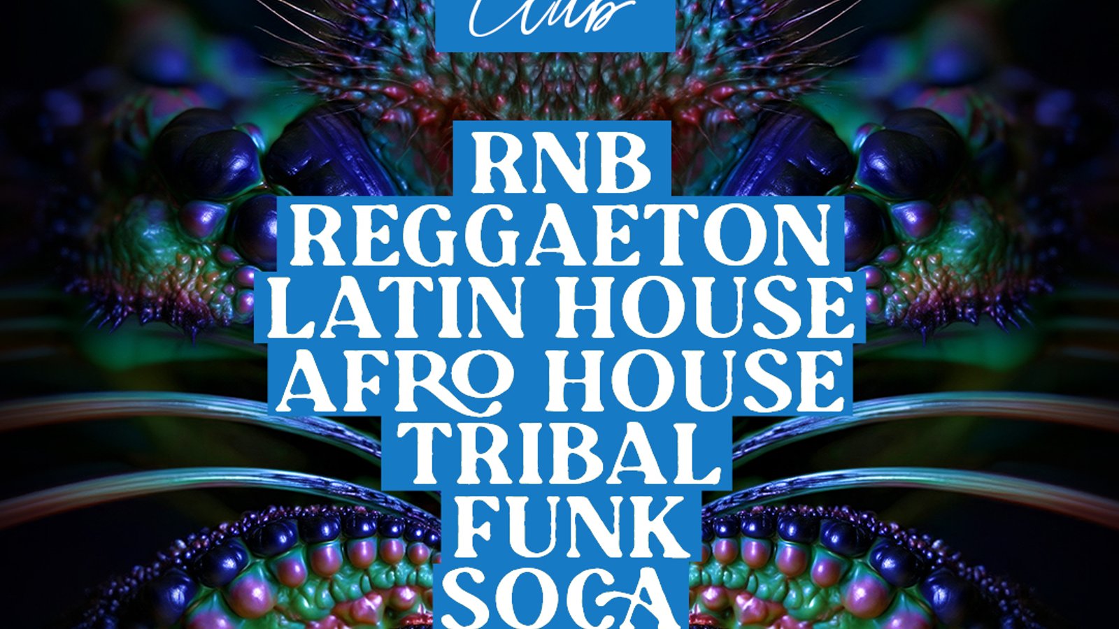 Maloka Club: House, Latin, Afro House